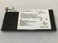 SSBS66,NX300K-GSLHAS01 batterie